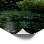 ネオンテトラスプリコストマス水族館魚タンク愛好家 ポスター (コーナー)