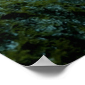 ネオンテトラスプリコストマス水族館魚タンク愛好家 ポスター (角)