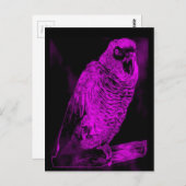 ネオンパロット ポストカード (正面/裏面)