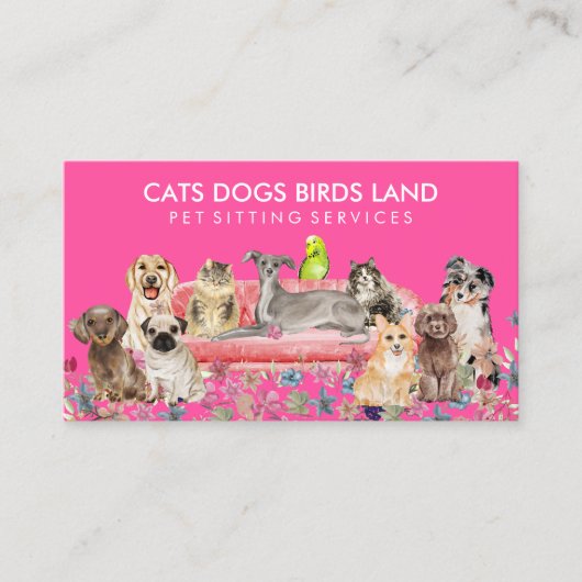ネオンピンクの犬猫鳥ホテルソファペットシッティング 名刺 (正面)
