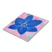 ネオンブルーリリー花ピンク背景 タイル (側面)