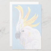 ネオンモホーク-コッカトゥー 便箋 (正面/裏面)