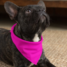 ネオン無地のピカスタマイズク