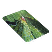 ネオン照明はオヘア空港の廊下にある マグネット (右側)