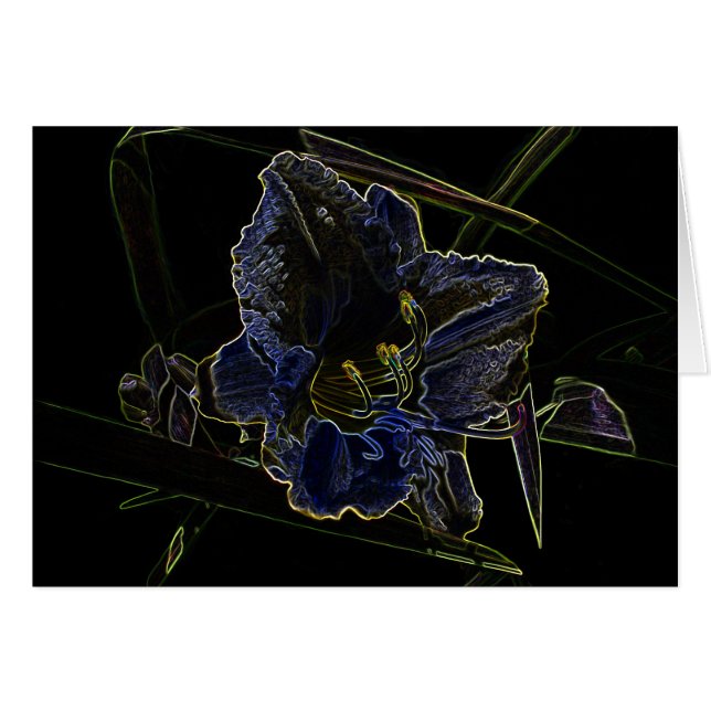 ネオン白熱ワスレグサの花 (正面横)