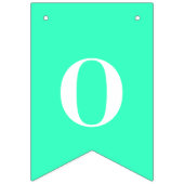 ネオン ティール 単色 カスタム バンティングフラッグ (第3の旗)