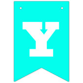 ネオン マゼンタとターコイズの無地 | オーダーメイド バンティングフラッグ (第2の旗)