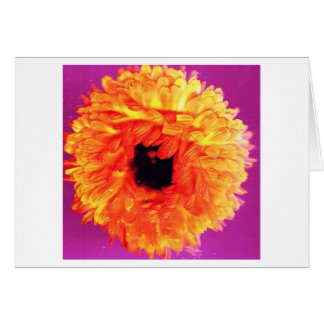 ネオンFIORI