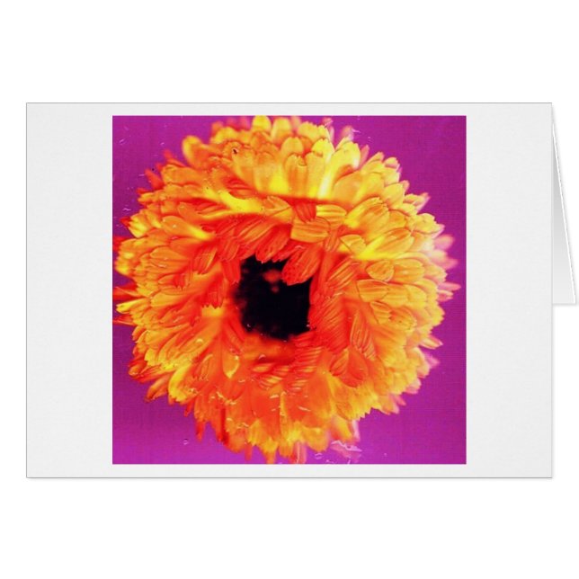 ネオンFIORI (正面横)