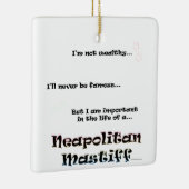 ネオ・ライフ セラミックオーナメント (右)