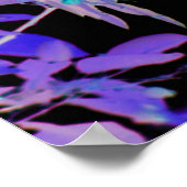 ネガフィルム効果剥鳥動物 ポスター (角)