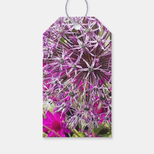 ネギと夏の花 ギフトタグ (正面)