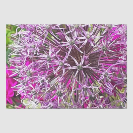 ネギと夏の花 薄葉紙 (正面)