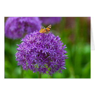 ネギの花の蝶