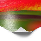 ネギの花 フォトプリント            (角)