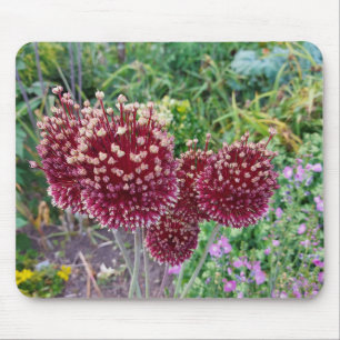 ネギの開花植物 マウスパッド