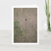 ネギ、アリウム、アンペロプラサム、ワイルドリーク カード (正面)