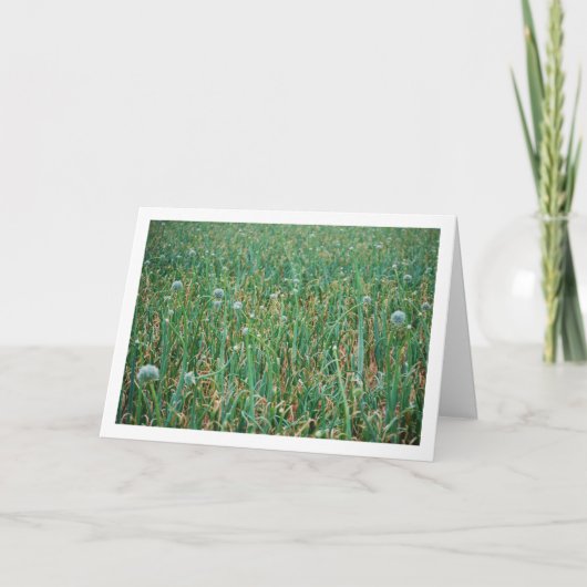 ネギ カード (正面)