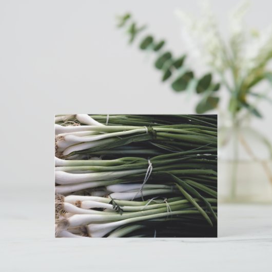 ネギ ポストカード (スタンド正面)