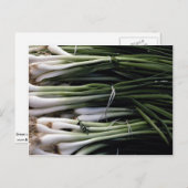 ネギ ポストカード (正面/裏面)