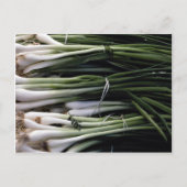 ネギ ポストカード (正面)