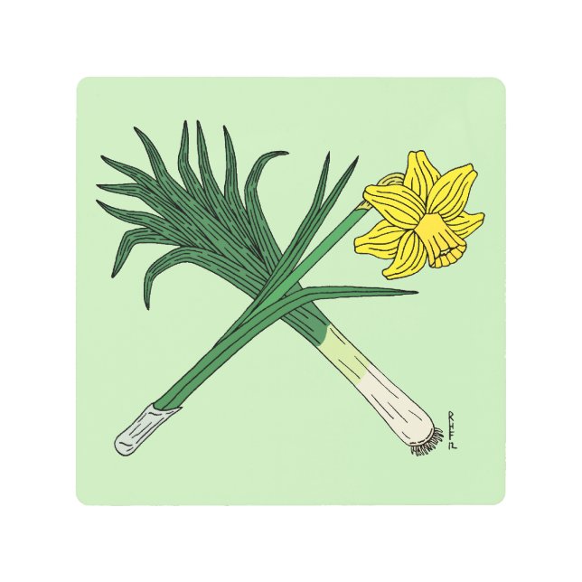 ネクと水仙の交差点 メタルプリント (正面)