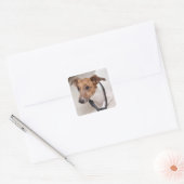 ネクタイを締める犬のクローズアップ スクエアシール (封筒)