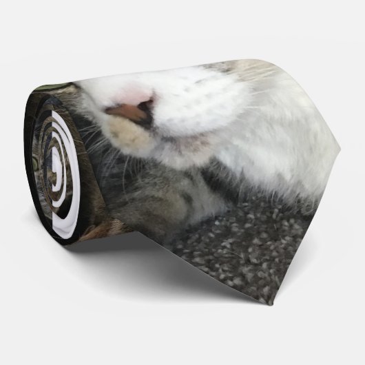 ネクタイ愛のため ネクタイ (ロール)