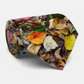 ネクタイ/紅葉 ネクタイ (ロール)