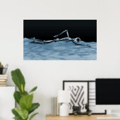 ネグブルー湖で泳ぐX線スケルトン ポスター (ホームオフィス)