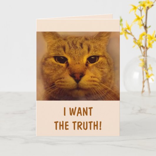 ネコおもしろいが元気になる カード (黄色い花)