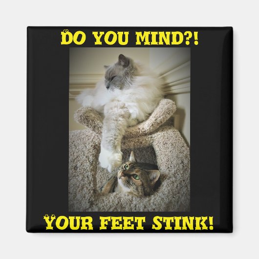 ネコおもしろい冷蔵庫用マグネット マグネット (正面)