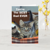 ネコからのベストパパグリーティングカード カード (黄色い花)