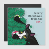 ネコからのメリークリスマス (正面/裏面)