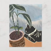 ネコが観葉植物を眺めるポストカード ポストカード (正面)