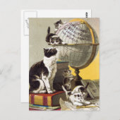 ネコとグローブ ポストカード (正面/裏面)