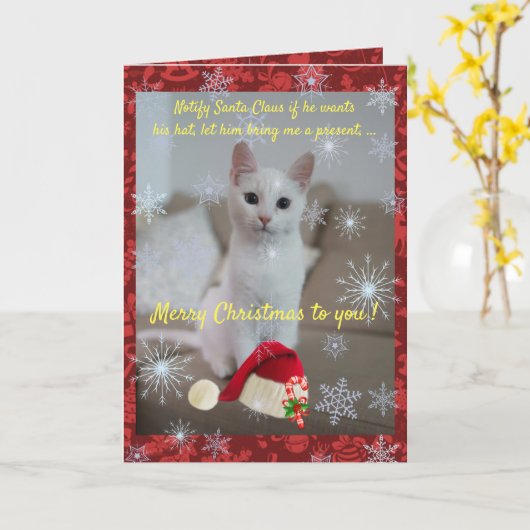 ネコとサンタ カード (黄色い花)