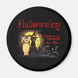 ネコとフクロウの磁石 マグネット