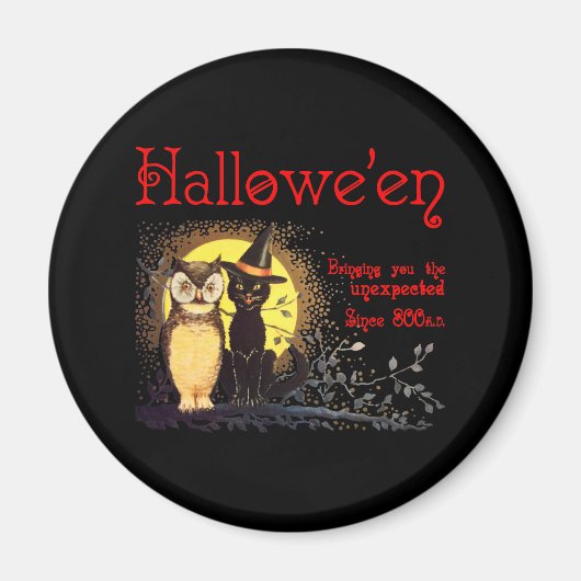 ネコとフクロウの磁石 マグネット (正面)