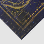 ネコとヘビの星座ティッシュペーパー 薄葉紙 (詳細)