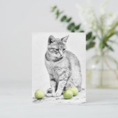 ネコとリンゴ ポストカード (スタンド正面)