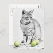 ネコとリンゴ ポストカード (正面/裏面)