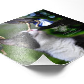 ネコと妖精ウイリアムシェイクスピア引用文プリント フォトプリント            (角)