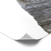 ネコと斧と生命 ポスター (角)