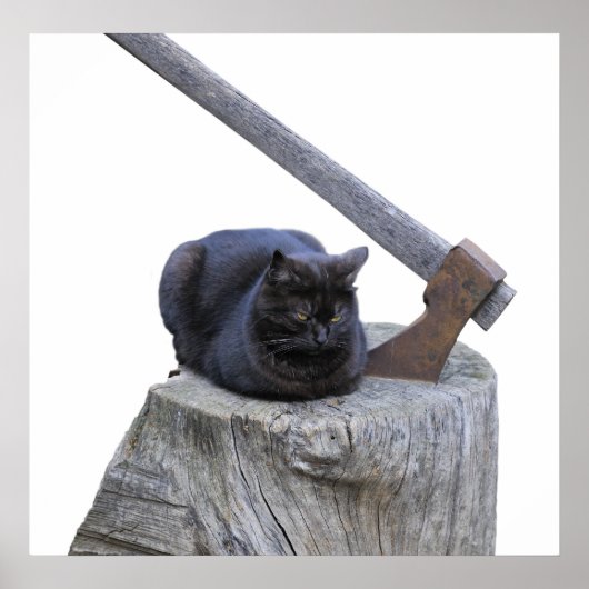 ネコと斧と生命 ポスター (正面)