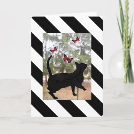 ネコと蝶の黒、白の誕生日ストライプの。 カード