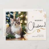 ネコのクリスマスカード シーズンカード (正面/裏面)
