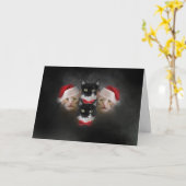 ネコのクリスマスカード ボヘ ミアンワッツ カード (黄色い花)