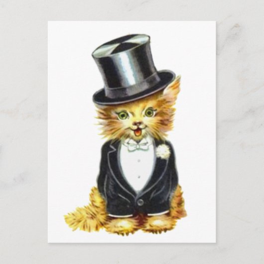 ネコのグルーミング ポストカード (正面)