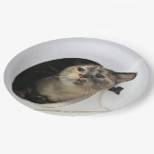 ネコのナプキン ペーパープレート (アングル)